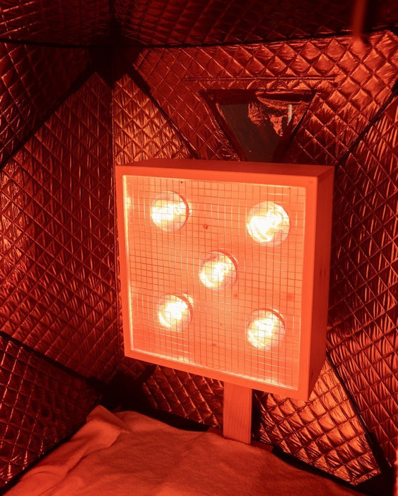 Prasanna Full Spectrum Zero EMF Sauna Pod