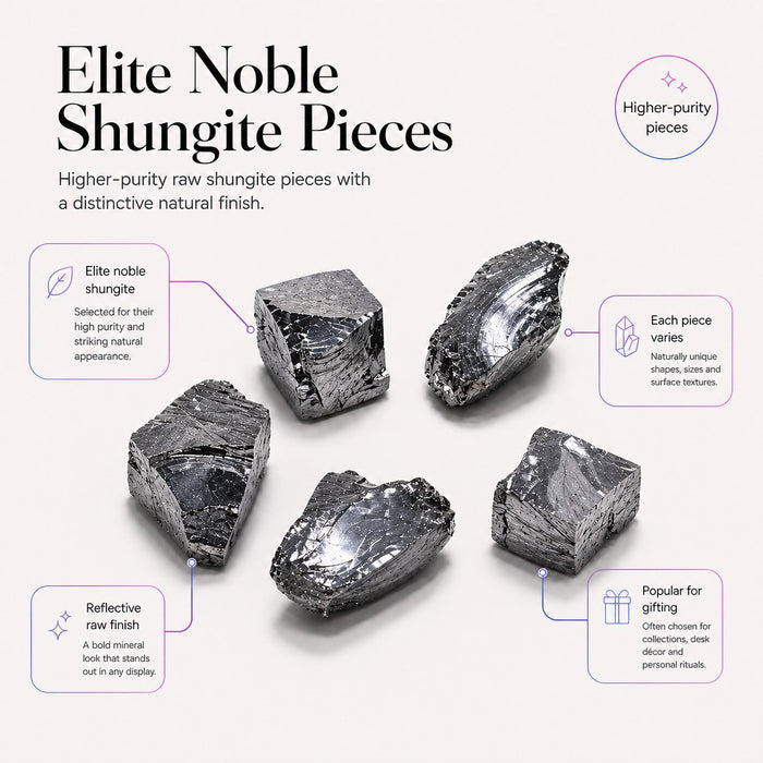 Noble Elite Shungite Stone 98% Carbon (Set of 5)