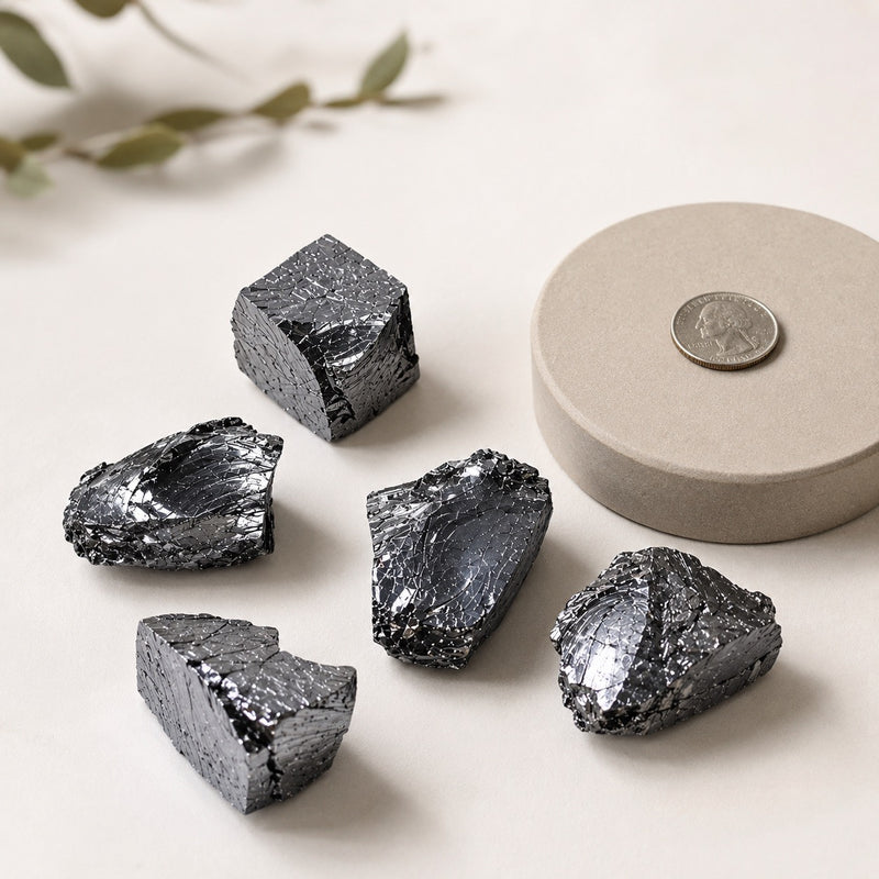Noble Elite Shungite Stone 98% Carbon (Set of 5)