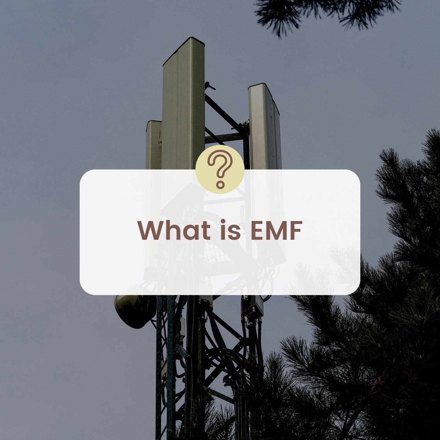 a 5g cell tower with the words 'what is emf' in a speech bubble
