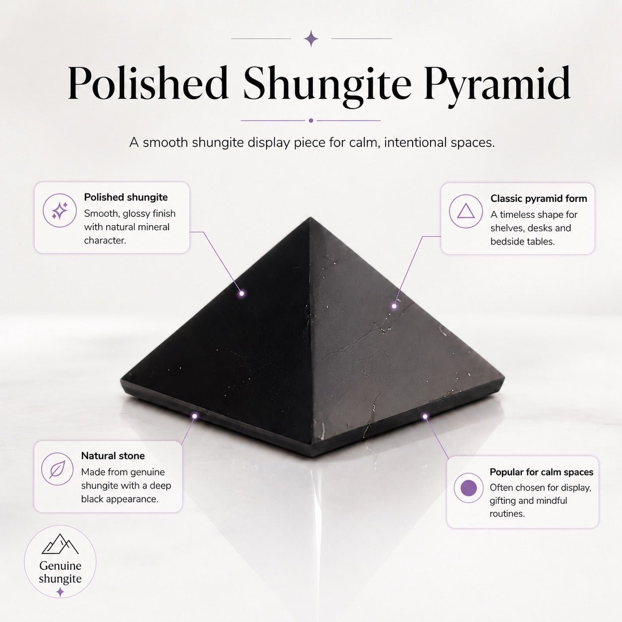 Shungite Stone