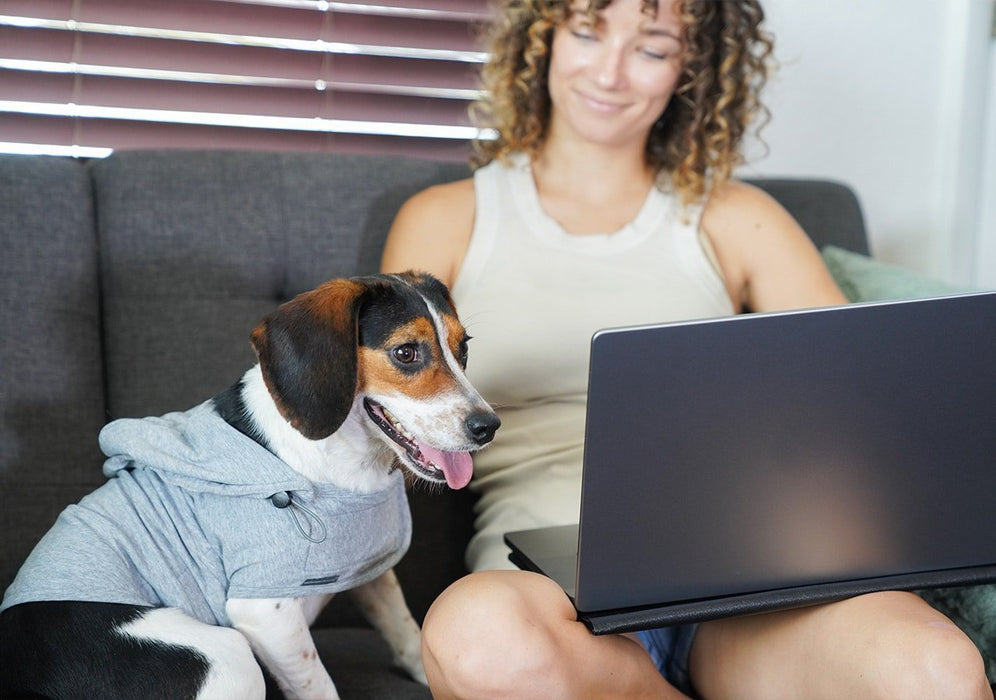 EMF Pet Vest being worn by a dog whilst sitting next to women on sofa